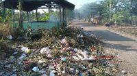 Viral, Tumpukan Sampah di Wanasari dan Parigisari Jadi Sorotan Jelang Pilkades Wanasari Viral, Tumpukan Sampah di Wanasari dan Parigisari Jadi Sorotan Jelang Pilkades Wanasari