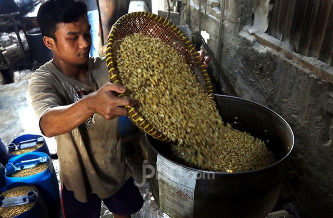 Harga Kedelai Melonjak, Pengusaha Tempe Mogok Produksi