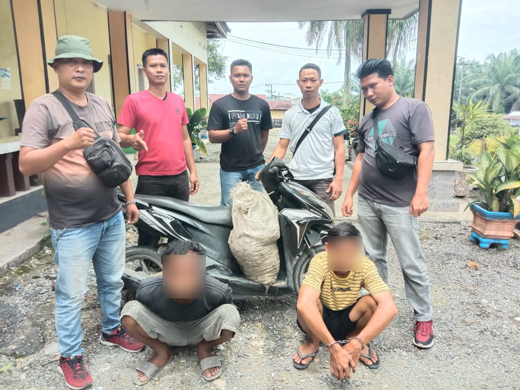 Team Pengamanan PTPN III KANAS, Gagalkan Pencurian Produksi