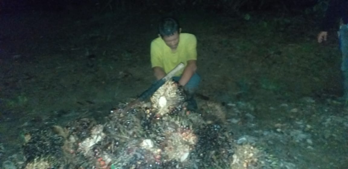 PAM PTPN III KRPPT Gagalkan Pencurian Produksi