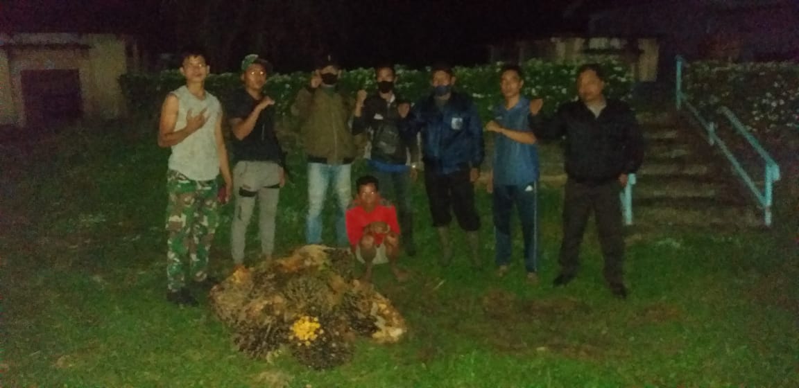 Menjelang Subuh PAM PTPN III KRPPT Tangkap Pencuri Produksi