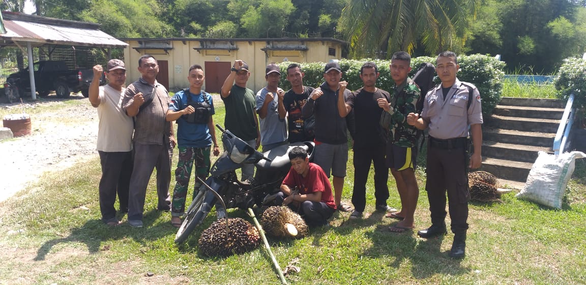 PAM PTPN III KRPPT, Amankan 1 Pencuri Produksi dan 1 Septor