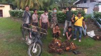 PAM PTPN III KRPPT, Tangkap Lagi 2 Pencuri Produksi dan 1 Sepeda Motor