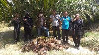 3 Anggota Brimob perkuat PAM PTPN III (Persero) KRPPT