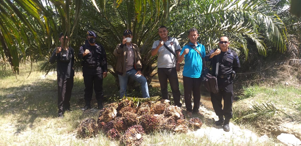 3 Anggota Brimob perkuat PAM PTPN III (Persero) KRPPT