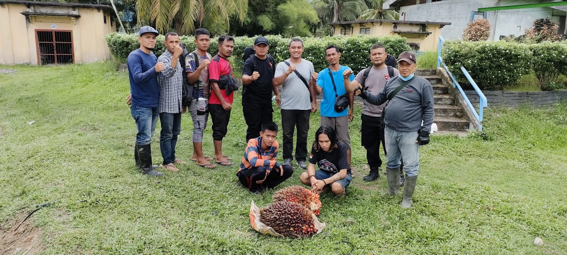 Dua Pencuri Produksi ditangkap PAM PTPN III KRPPT