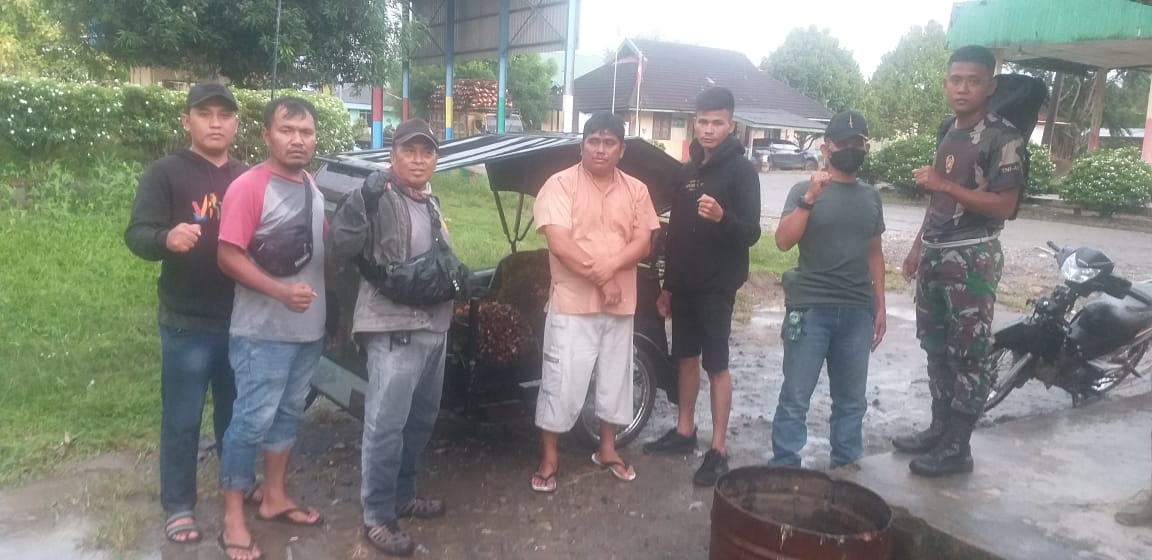 PAM PTPN III KRPPT Tangkap Terduga Pencuri Produksi dan 1 Unit Betor