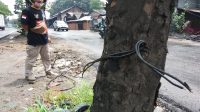 Jalur Kalimalang Bahayakan Pekerja dan Pemudik, Ada Kabel Listrik di Genangan Air dan Jalan Amblas