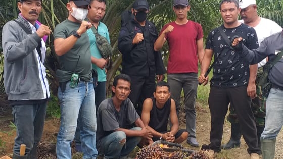 PAM PTPN III (Persero) KRPPT Bekuk 2 Terduga Pencuri Produksi