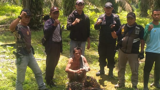 Satu Pencuri Produksi   di Tangkap PAM PTPN III KRPPT