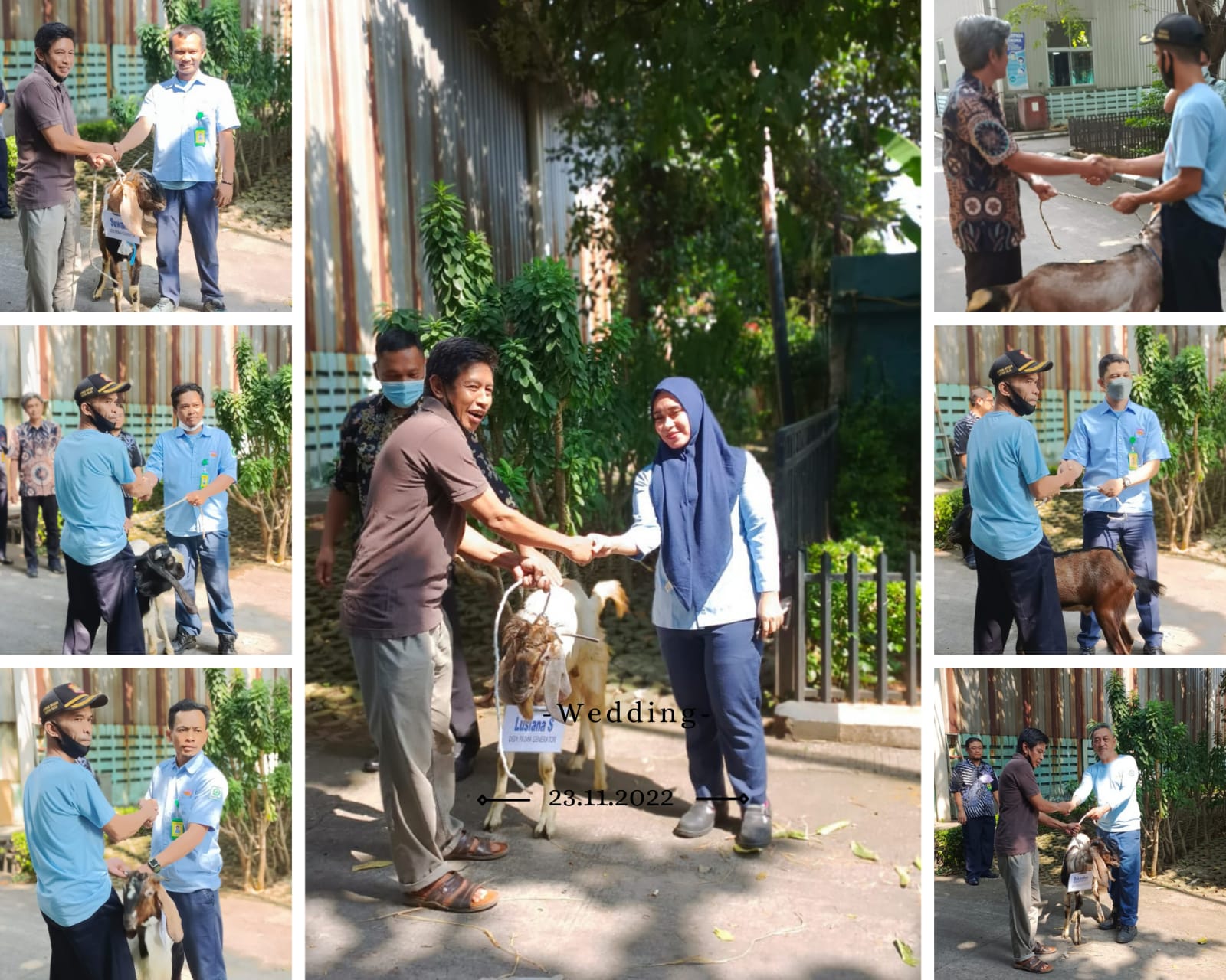 PT. Dein Prima Generator Sumbang Hewan Kurban Untuk Warga Sekitar