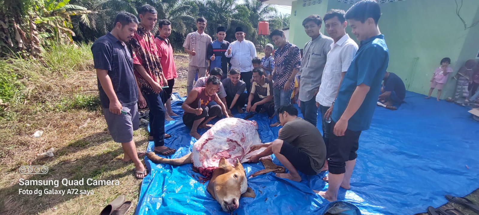 PT. Mandiri Sawit Bersama Aek Tinga Laksanakan Penyembelihan Hewan Kurban