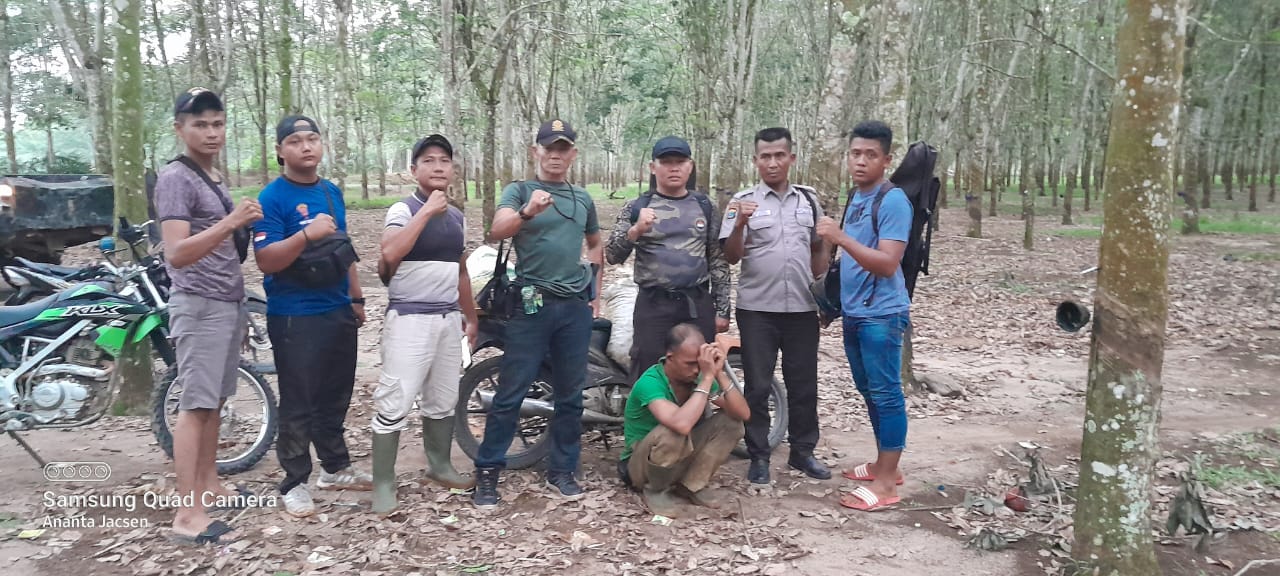 PAM PTPN III (Persero) KRPPT, Amankan Terduga Pecuri dan 1 Unit Septor