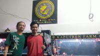 Dengan Berkolaborasi, Buruh di Bekasi Sukses Jadi Pengusaha Ikan Hias Beromset Fantastis