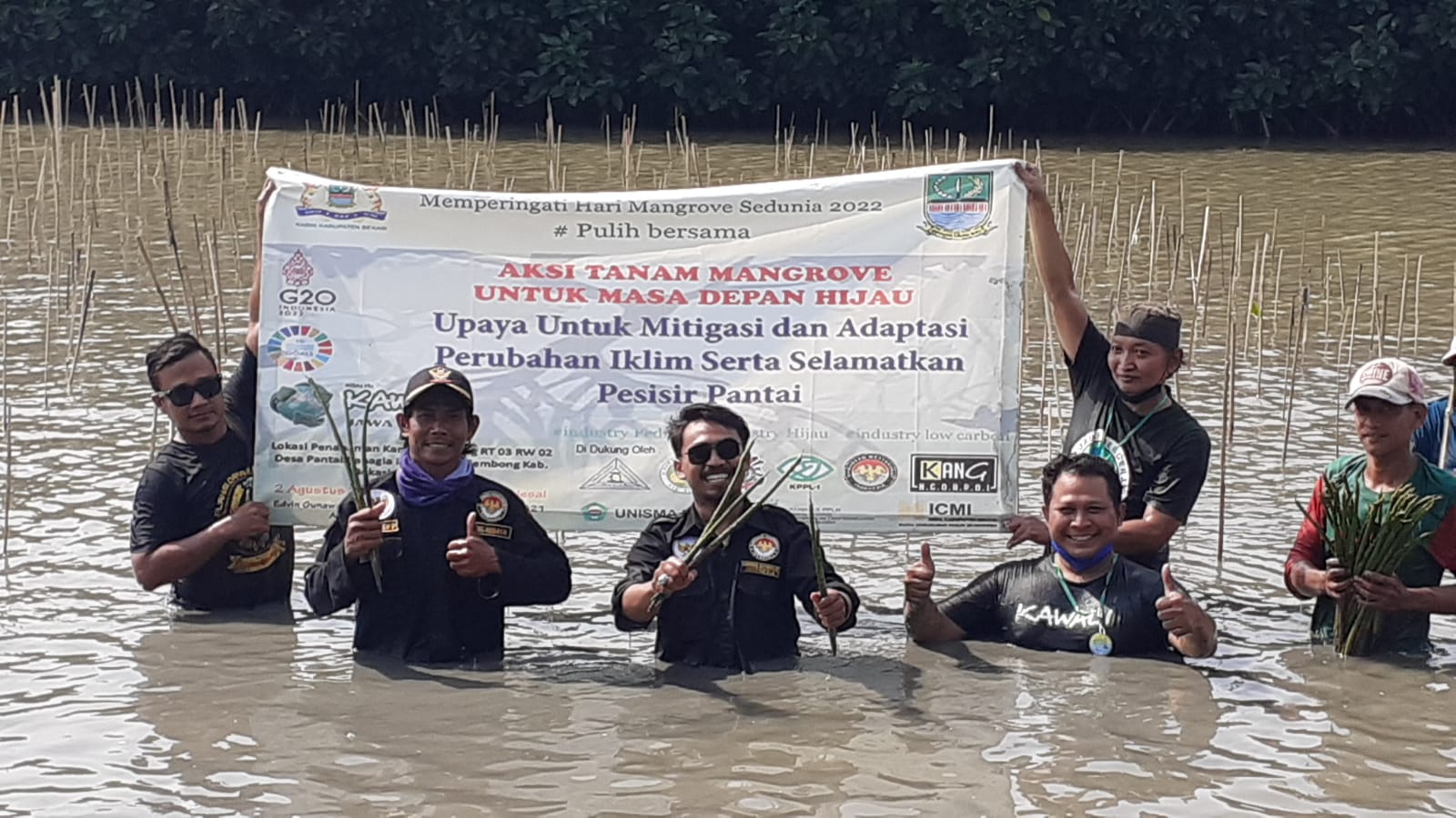 Kawali Jawa Barat Peringati Hari Mangrove Sedunia 2022 Bersama KADIN Kabupaten Bekasi