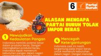 6 Alasan Mengapa Partai Buruh Menolak Impor Beras 6 Alasan Mengapa Partai Buruh Menolak Impor Beras