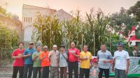 Panen Jagung Bersama Ketua RW 08 Asri Pratama Panen Jagung Bersama Ketua RW 08 Asri Pratama