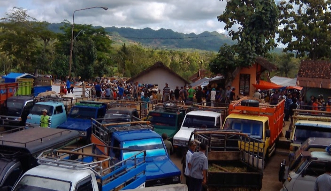 Melihat Kemajuan Kampung Halaman dari Ramainya Pasar Hewan