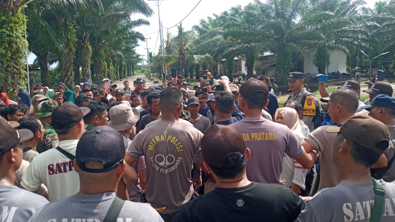 21 Hari Tidak Bisa Panen, Kerugian PTPN.IV.R1.Batang Toru Membengkak Lebih Rp 1 Miliyar