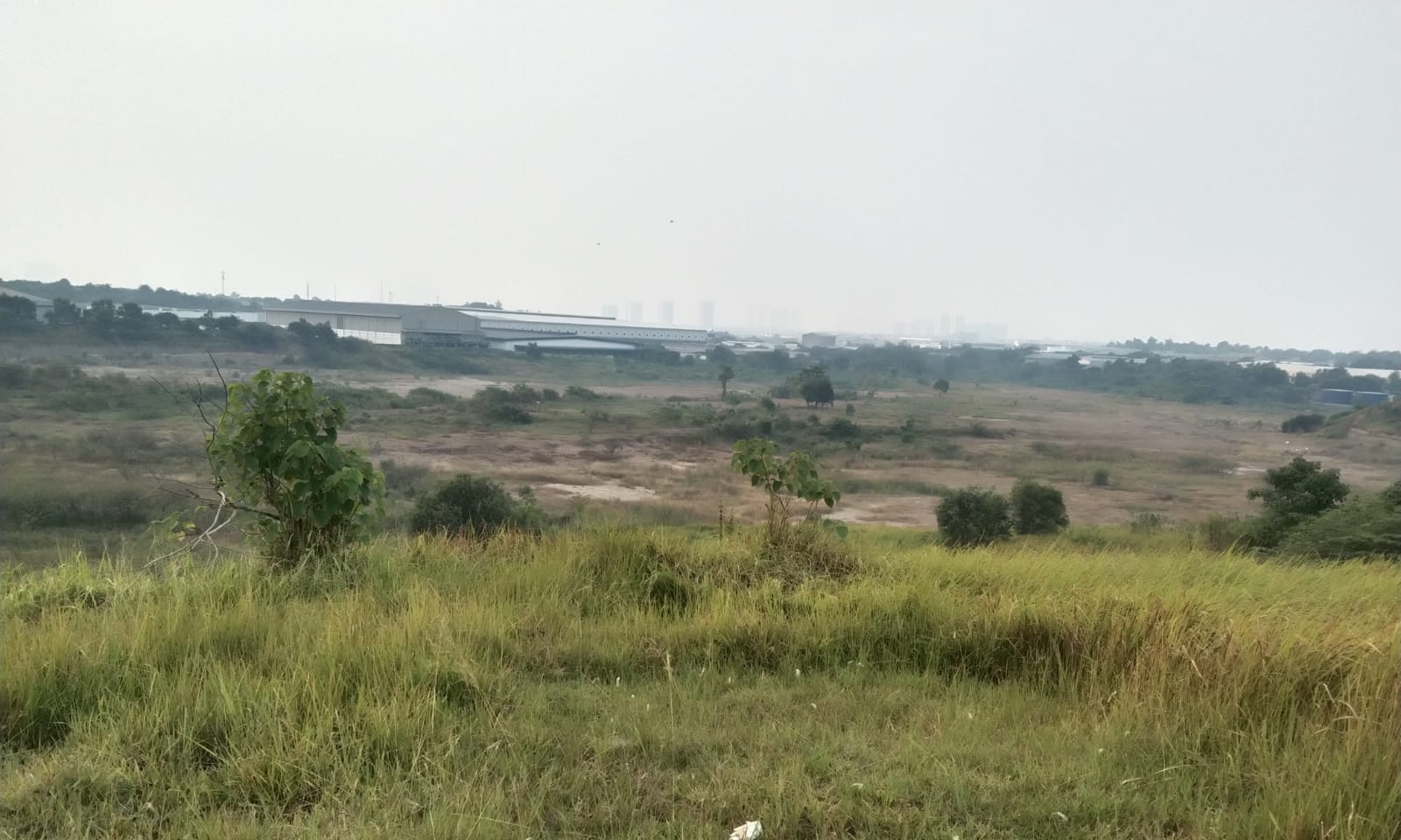 Bukit Cinta Yang Dulu Indah Tinggal Cerita