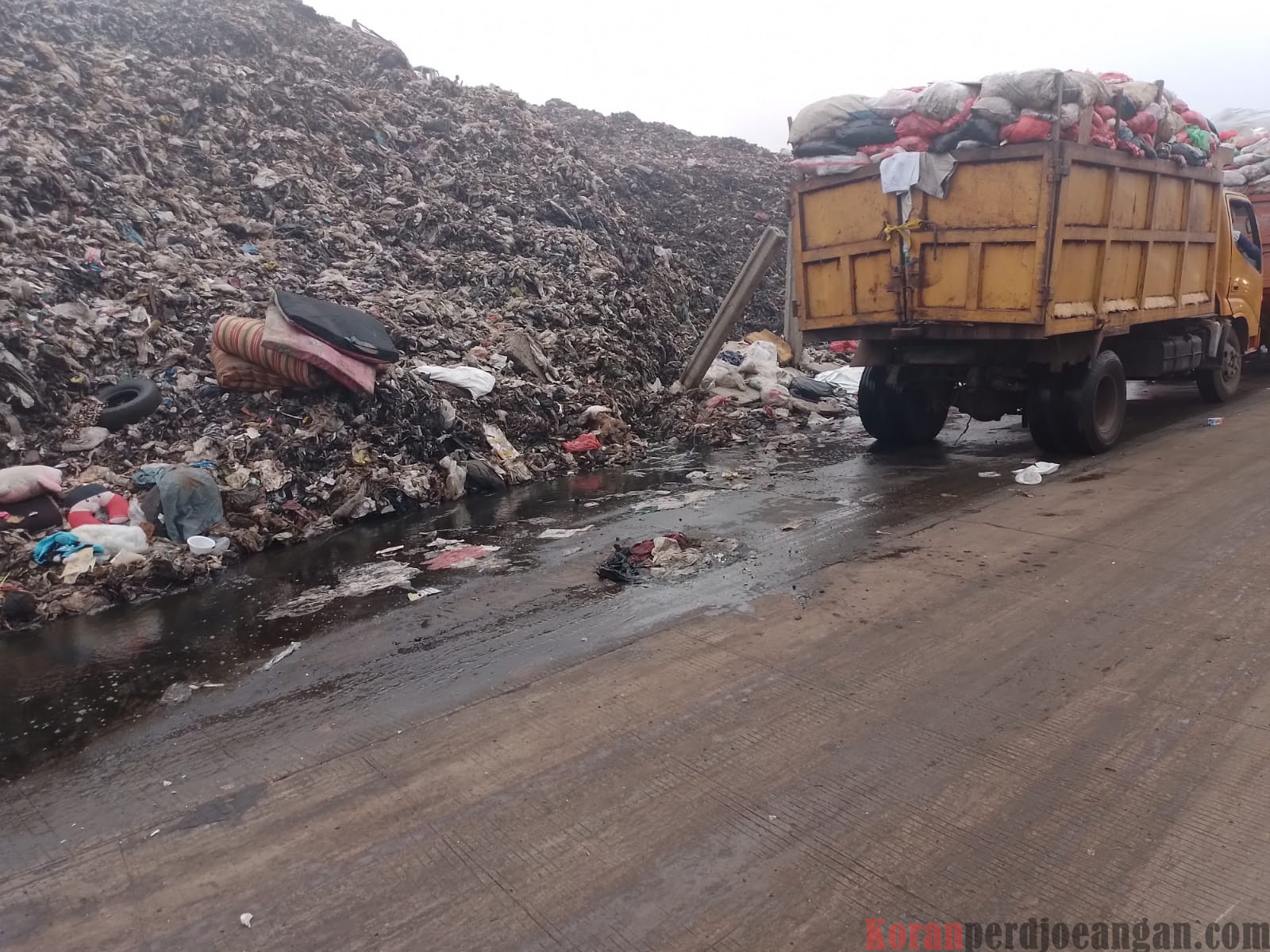 FPRB Kabupaten Bekasi Tanggapi Tegas Bencana Longsor Terjadi Lagi di TPA Burangkeng
