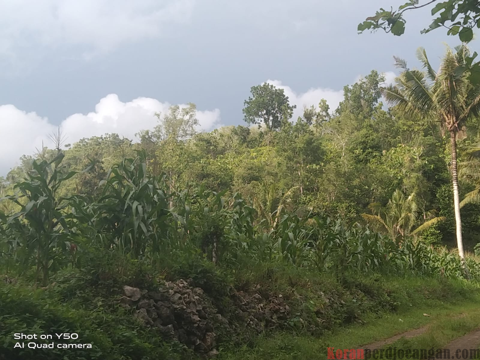 Kehidupan Kampungku Yang Penuh Kedamaian