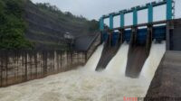 PLN Nusantara Power Beri Pemberitahuan: Spillway Gate Waduk Koto Panjang Dibuka, Warga dihimbau Waspada