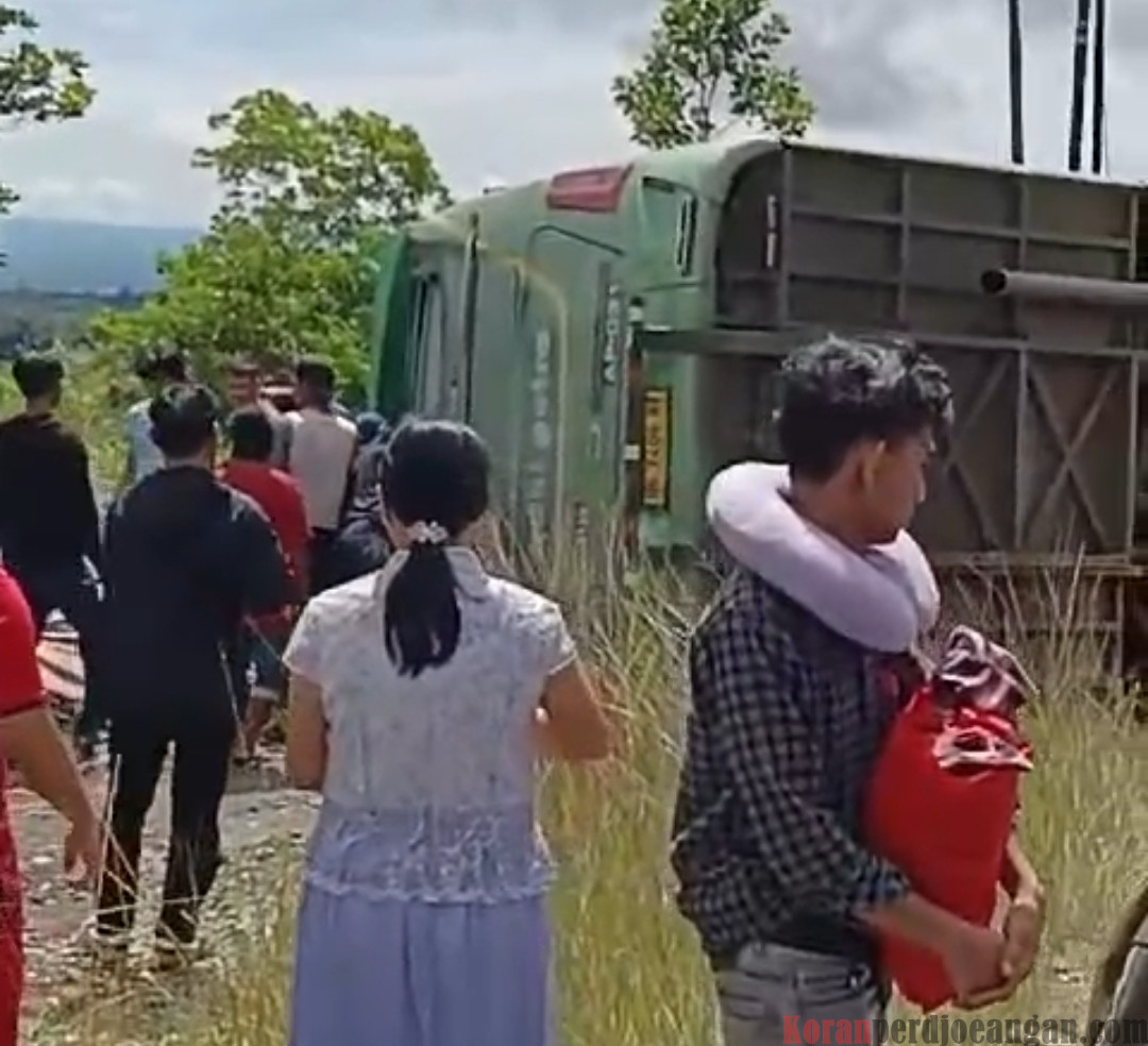 Bus Adhi Putro Rute Morowali – Makassar Terbalik di Jalan Trans Sulawesi