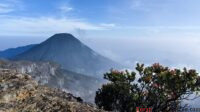 Mengintip Biaya Pedakian Puncak Abadi Para Dewa ‘Gede Pangrango’ Mengintip Biaya Pedakian Puncak Abadi Para Dewa ‘Gede Pangrango’