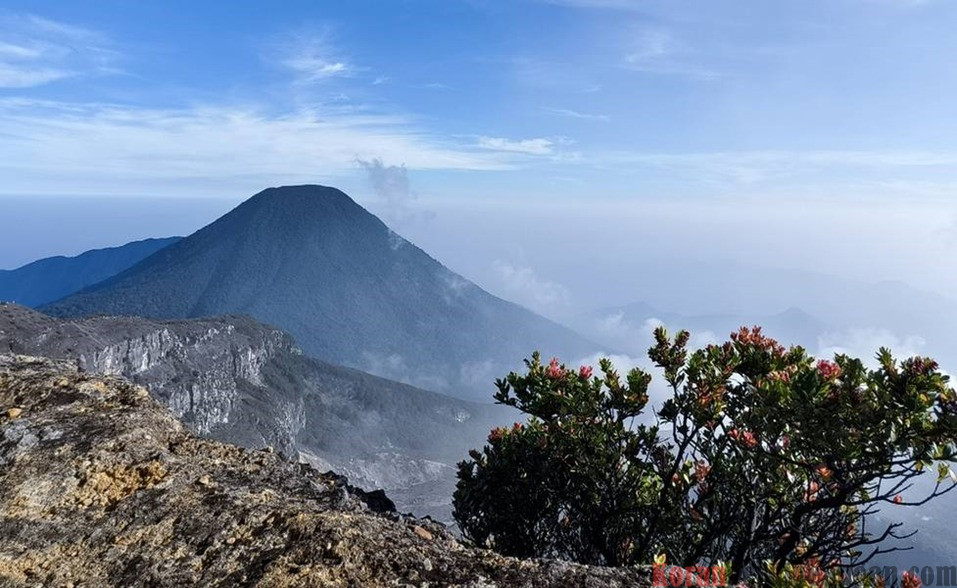 Mengintip Biaya Pedakian Puncak Abadi Para Dewa ‘Gede Pangrango’