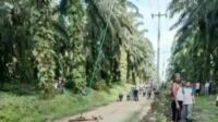 Kecelakaan Kerja di Area PT. ADEI Kembali Terjadi, Pemanen Sawit Meregang Nyawa Tersengat Listrik Kecelakaan Kerja di Area PT. ADEI Kembali Terjadi, Pemanen Sawit Meregang Nyawa Tersengat Listrik