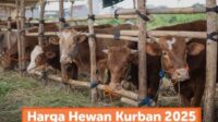 Qurban Bukan Sekedar Menyembelih Hewan, Tapi Juga Mengalahkan Sifat Sombong