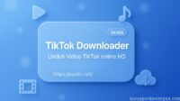 Download Video TikTok Tanpa Watermark