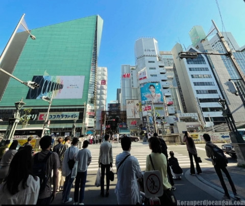 Perbedaan Magang di Indonesia dan Jepang yang Menentukan Masa Depan Pekerja Muda