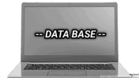 Data Base: Jantung Penggerak Organisasi