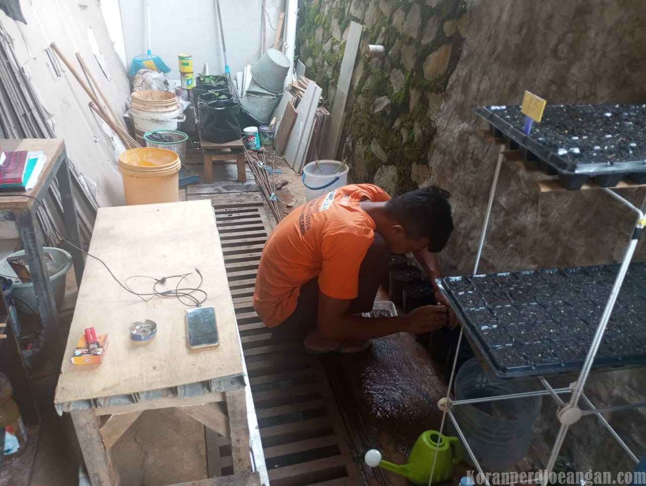 Raup Penghasilan, Mantan Buruh Manfaatkan Lahan Sekitar untuk Berkebun