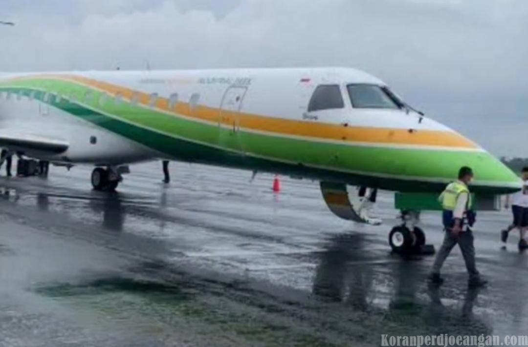 Viral di Media Sosial, Ada Bandara Ilegal di Kawasan IMIP Morowali