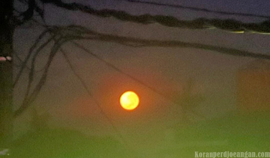 Cold Moon Fenomena Alam yang Memukau