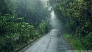 Jawa Tengah Berpotensi Hujan Ringan, BMKG Imbau Masyarakat Waspada