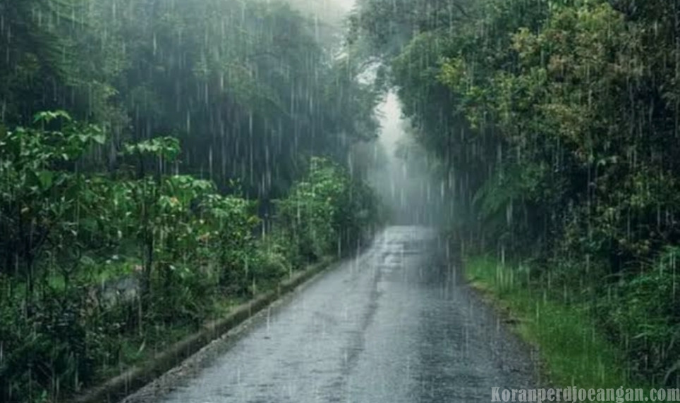 Jawa Tengah Berpotensi Hujan Ringan, BMKG Imbau Masyarakat Waspada