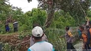 Tersengat Listrik Saat Cari Pakan Ternak, Lansia di Gunungkidul Meninggal