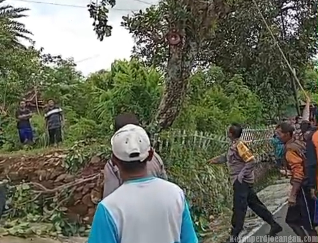 Tersengat Listrik Saat Cari Pakan Ternak, Lansia di Gunungkidul Meninggal