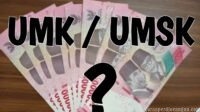 UMK dan UMSK Adalah Instrumen Penting, Menjaga Kesejahteraan dan Pertumbuhan