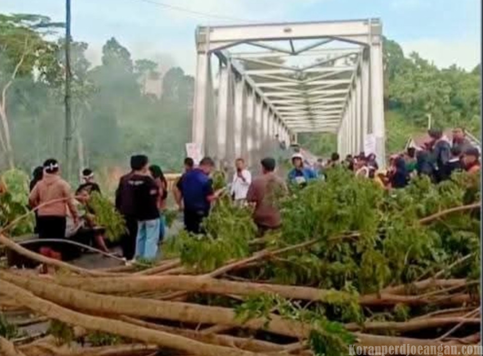 Blokade Jalan Trans Sulawesi : Massa Desak Pembentukan Provinsi Luwu Raya