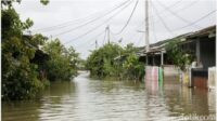 Perumahan Subsidi di Sukamekar, Bekasi Terendam Banjir Setinggi 2 Meter