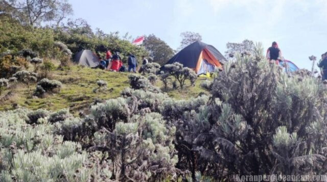 Demi Keselamatan Pendakian Gunung Gede Pangrango Wajib Pakai Gelang RFID