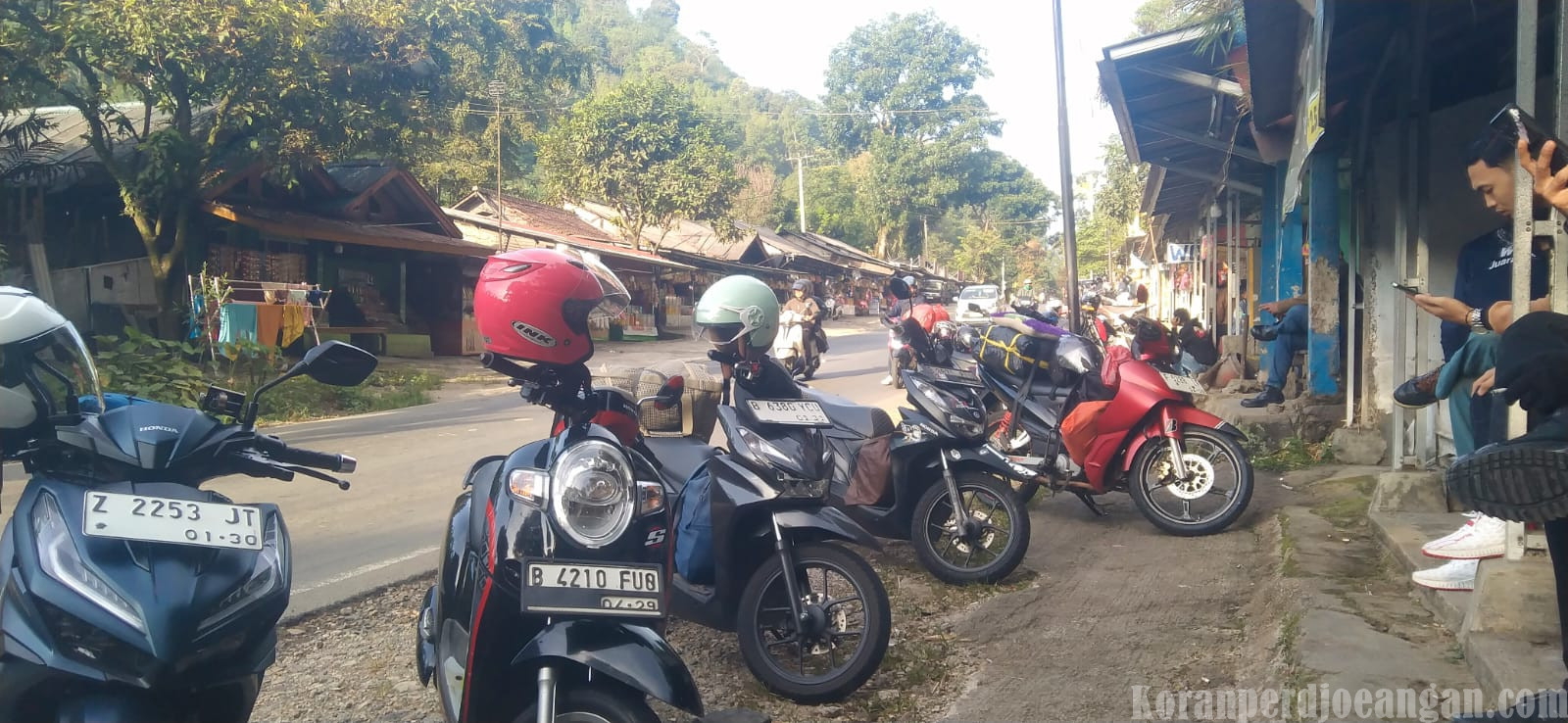 Puncak Pinus Cikalong Kulon, Tempat Favorit Pemudik untuk Istirahat