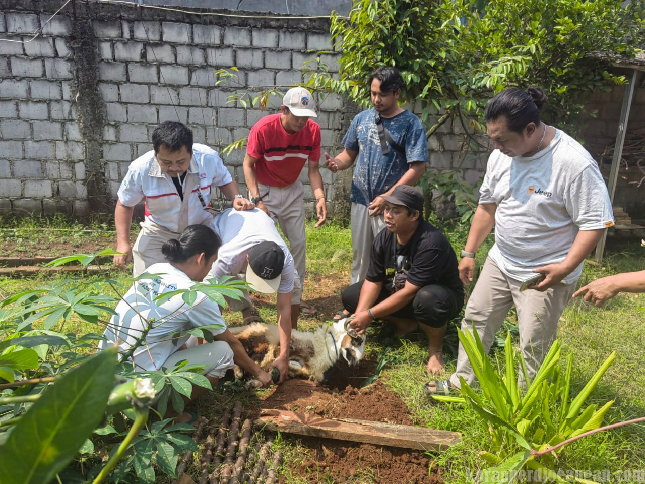 Satu Kambing, Sejuta Makna: Serikat FSPMI PT Hino Motors Manufacturing Indonesia Hidupkan Semangat Kurban di Hari Raya Iduladha