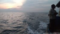 Tak Lagi Sendiri di Laut, Awak Kapal Perikanan Kini Dijamin Negara