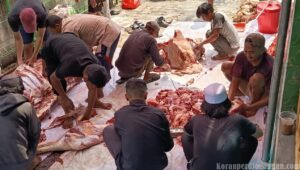 Merawat Keikhlasan dan Kepedulian, DPW FSPMI DKI Jakarta Gelar Qurban Iduladha